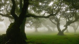 Test Post 2